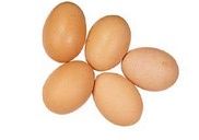 Oeuf Bio le mardi